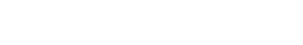 TRIDEN audio & visual